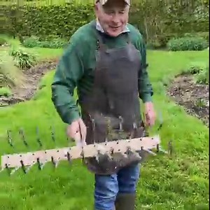 LAWN SPRING TINE RAKE is an excellent tool for removing moss and thatch from lawns .Light and easy to use ! WEBSHOP LINK IN BIO https://pergolanurseries.ecwid.com/ Pergola Nurseries Garden Corner Virginia,Co Cavan A gardeners oasis of quality plants Open Tues -Sat 10-30 to 6 Sun2-6 #lawncaretips #gardenideasireland #lawnrake | Pergola Nurseries Garden Corner
