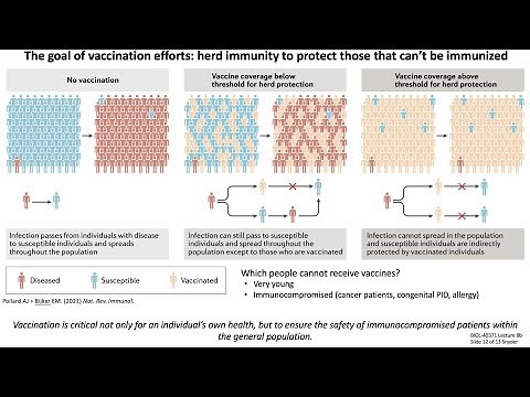 Lecture 8b: Vaccine Design