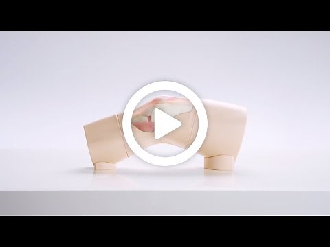 Knee Aspiration & Injection Trainer