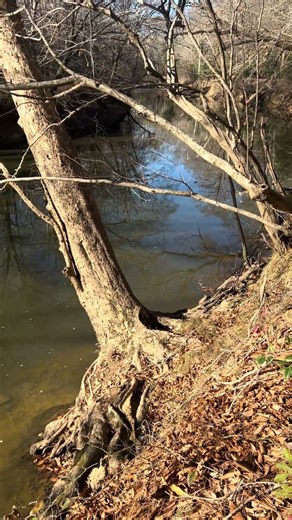 Beautiful view of the tar river not sound no edit , just beautiful