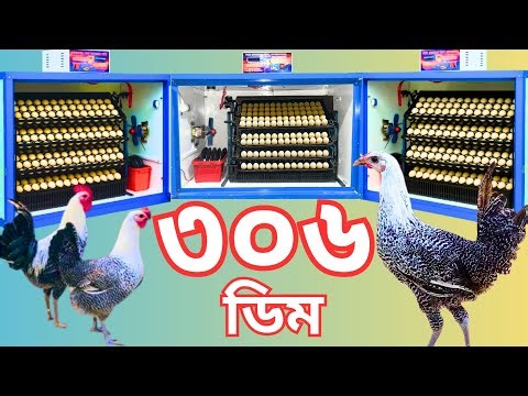 300 Egg Hatching Machine, Foamy Egg Incubator | Best Incubator Manufacturer in Bangladesh Egg inc...