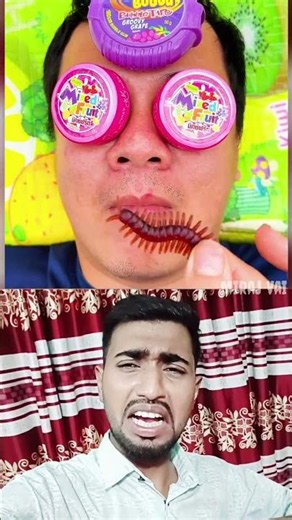 Hubabubo,quả việt quất,món khai vị và bánh ngọt ngon. #đồ​ ngọt #thức​ ăn