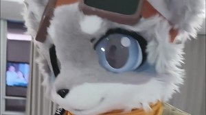 超级笨蛋，认真办案!