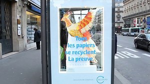 Like Magic - Ecofolio