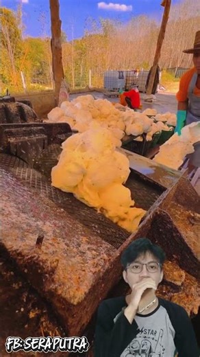 Mechanical Natural Rubber Processing Activities #shorts #processing #rubber #latex