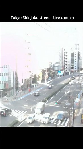 11時間早送り！東京都千代田区麹町ライブカメラ。Tokyo Shinjuku street Live camera. World cam. #東京4k #shorts #東京の街 #ライブカメラ