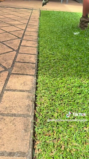 Satisfying Edging Compilation with STIHL FS94RC