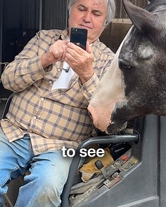 54K reactions · 993 comments | Just one glance in the Tractive app and you know exactly where your cat’s been hiding—just like Levi’s farmer does. ️ Live GPS tracking  Virtual fence alerts  Activity and rest data  Long-lasting battery Track your pet with confidence and peace of mind. | Tractive | Facebook