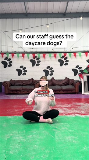 Guess the Doggy Daycare Dogs Challenge