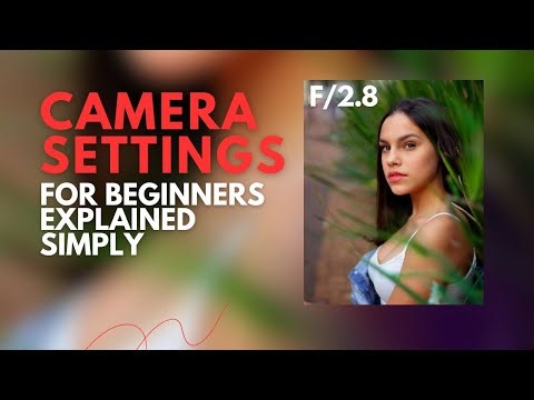 Photography Basics for Beginners: Camera Settings Explained Clearly