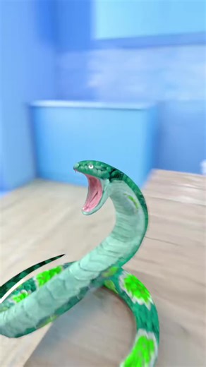 Boomslang Snake Bite Symptoms Documented in Real Time