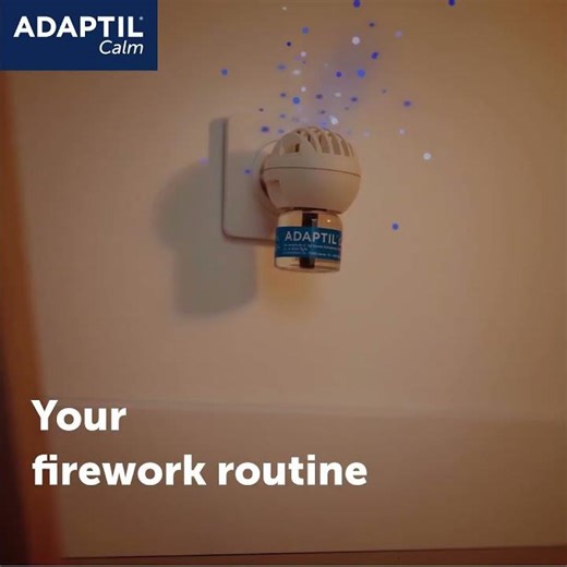 Dog Fireworks Fear: Create a Safe, Calming Environment at Home