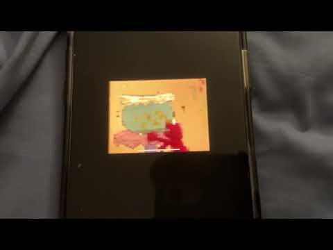 Sesame Street Seven Goldfish Elmo Fast