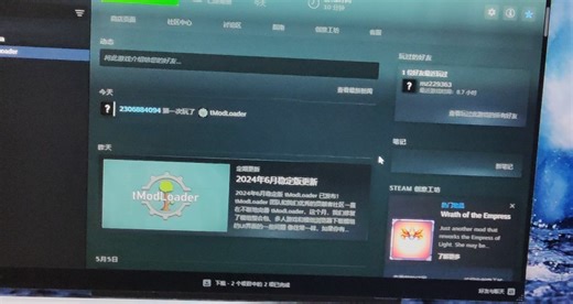 有没有大佬帮忙看看为什么打不开tmodloader