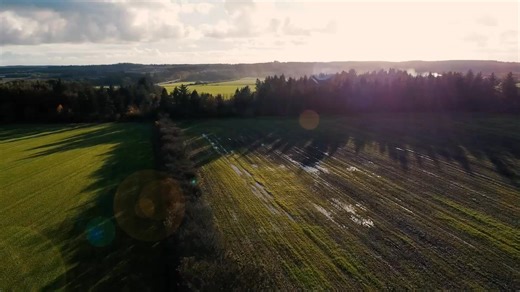 Mads Fuglede on Reels