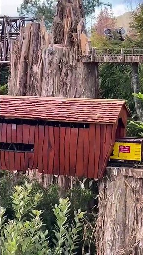 Beautiful outdoor model train layout