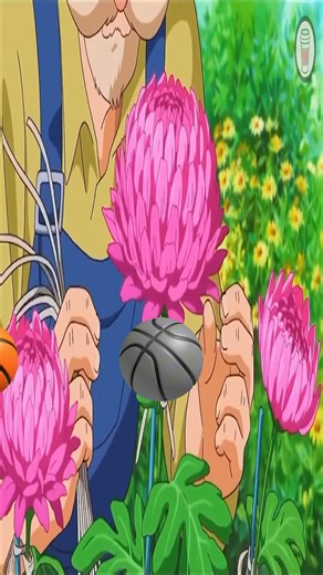 pause it and go open your browser