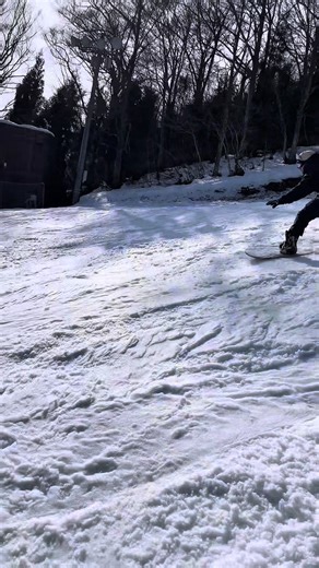 Stealth NISHIDA Part 3: Snowboarding Skills Demonstration