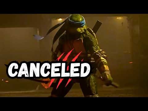 They Canceled The Last Ronin Ninja Turtles Movie...For This?