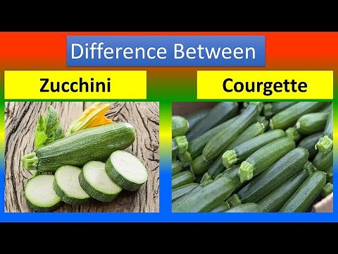 Difference Between Zucchini and Courgette