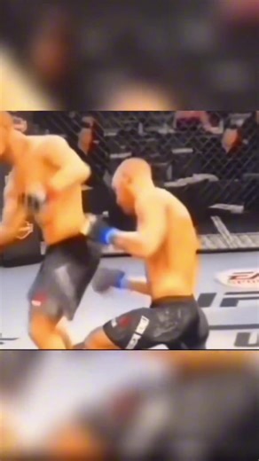 Top UFC and MMA Highlights for Fight Fans