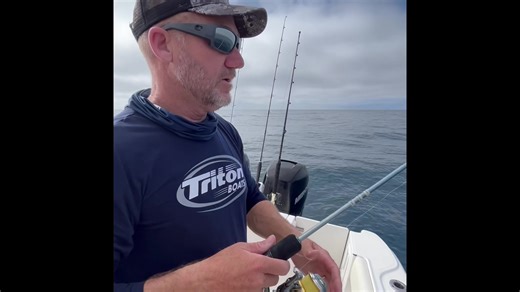 Free-Lining live bait