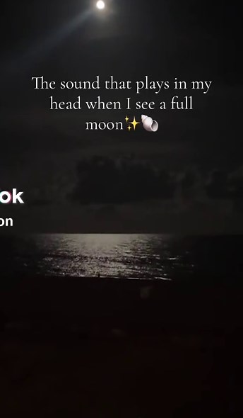 H2O: Mako Mermaids - Beach Vibes and Moonlit Dreams