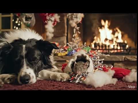 Parody on Twas the night before xmas. The elusive red squirrel and a naughty puppy