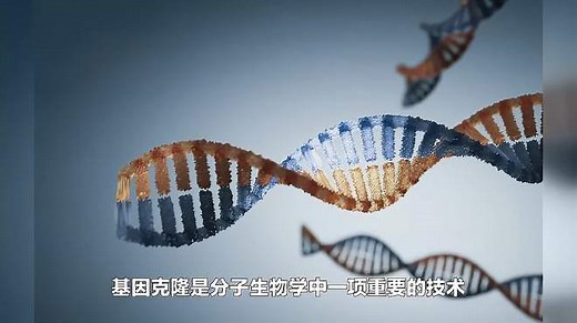 基因克隆的原理和步骤