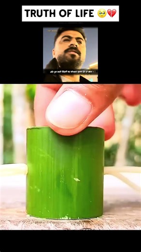 Har Koi Apni Jung Ladh Raha Hai | Life Truth #shorts