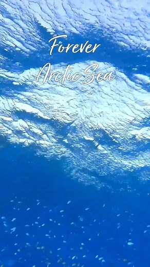 Forever Arctic Sea® features a blend of oils to provide you with a perfectly balanced omega-3 supplement. Fish, calamari, and high oleic olive oil support key areas of your body, including cardiovascular, digestive, immune, brain, and eye health. All the goodness from the sea is encapsulated in easy-to-swallow soft gels within your reach. #omega3 #arcticsea | Forever Living Products Southern Africa