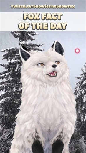 Fox... wait what's that? - Fox Fact of the Day!