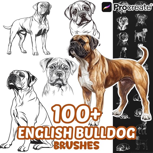 Procreate English Bulldog Animals Brushes, 100+ English Bulldog Animal Procreate Stamps, Nature Procreate, Pet Animals, Dogs Species - Etsy