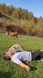 8.1K views · 288 reactions | The best solution of  problems in just few seconds | Lovely Laugh | Facebook