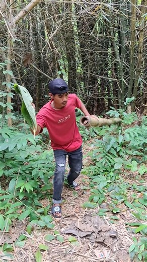 using leaves inside bamboo #vidioshorts #foryou #nature #viral