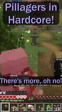 PILLAGERS in HARDCORE MINECRAFT