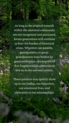 The Wounds Your Ancestors Carried Live in Your Body Right Now | Thomas Hübl