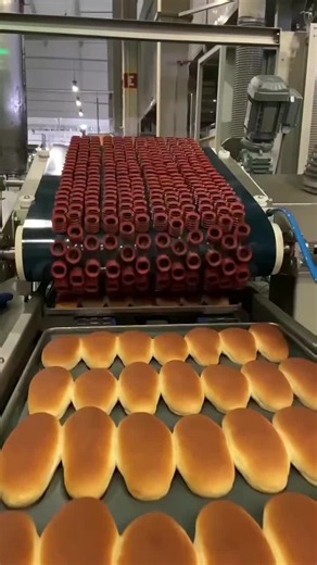 Factory Life: How Products Are Made – Inside Modern Industry