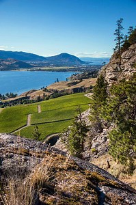 In Western Canada, a Surprisingly Diverse Wine Region Is Booming