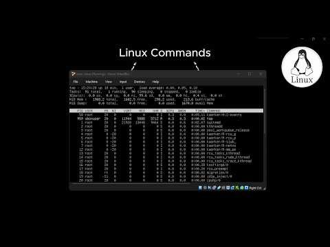 Linux Command Line Basics(episode2)