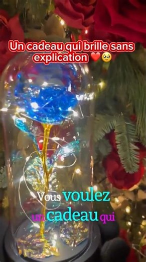 Un cadeau élégant et intemporel : la rose éternelle LED
