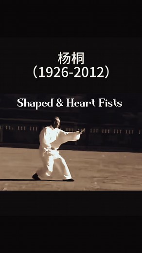 452 reactions · 57 shares | Shaped & Heart Fists #gongfu #zen #gongfufilm #martialarts #wushu #kungfu | Moon Zen | Facebook