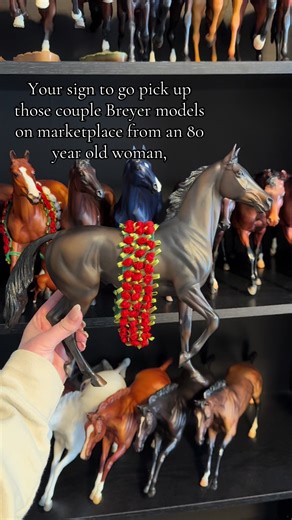 Discovering Breyer Models and Their Stories