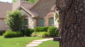 Foreclosures Creeping Back Up Toward Pre-Pandemic Levels