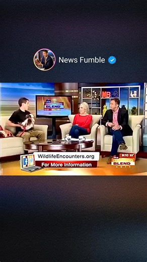 Anchorman was a sitting duck. 💨 Didn’t even see it coming! ☠️☠️☠️ If you love TV News bloopers like we do, follow our account News Fumble | News Fumble