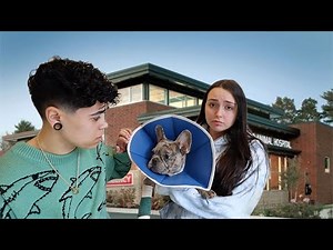 Rushing Our Puppy To The Emergency Room! *Emotional*