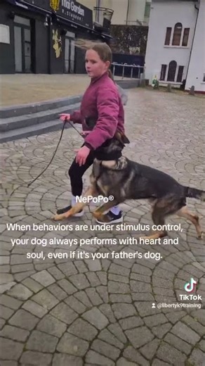 Case (Jabina Rocco) — German Shepherd Training Clip