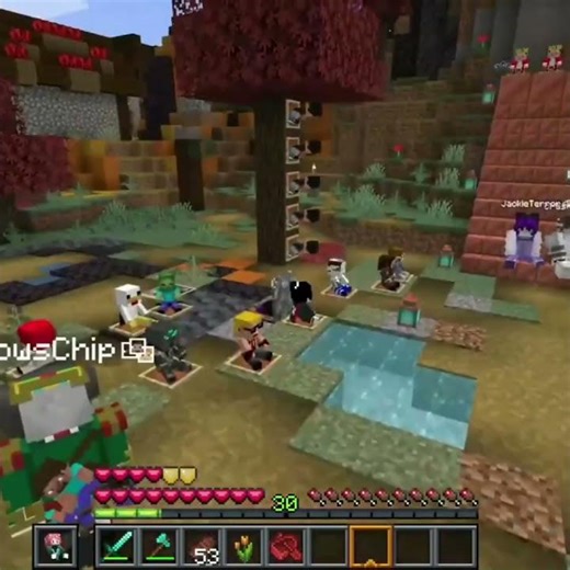 DID THE TALENT WORK THOUGH?? #breakthecycle #minecraft #btcsmp
