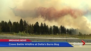 Huge fire rages at Burns Bog