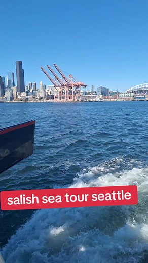 salish sea tour seattle. some pretty cool Native art. good times #seattle #salish #nativetiktoks #canoe #summervibes #Chinook